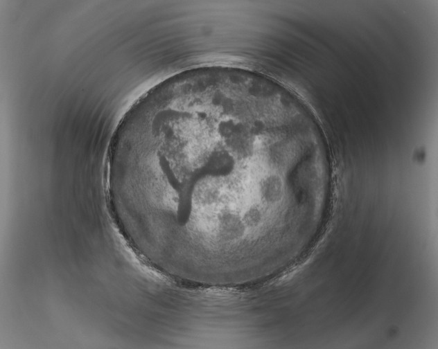 X0000115551125200911271427