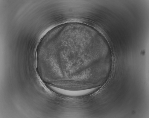 X0000115551127200911271427