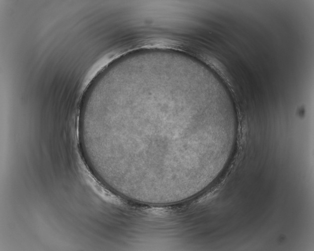 X0000115551130200911271427