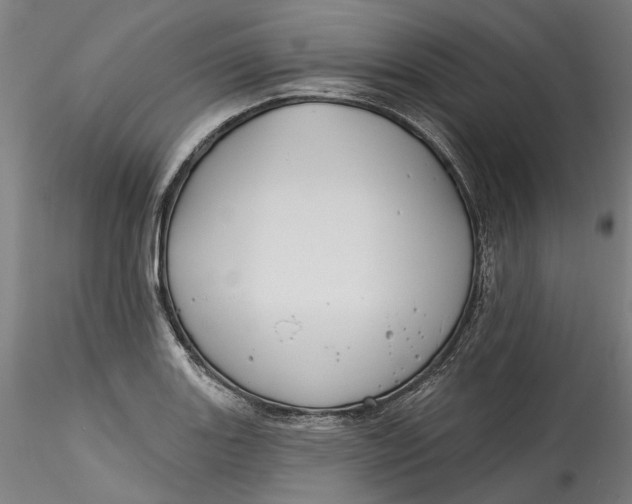 X0000115551131200911271427