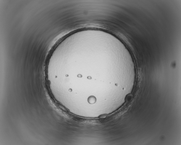 X0000115551133200911271427