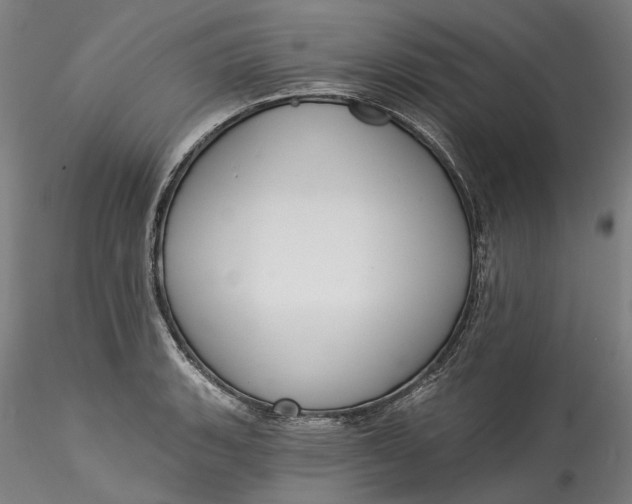 X0000115551135200911271427