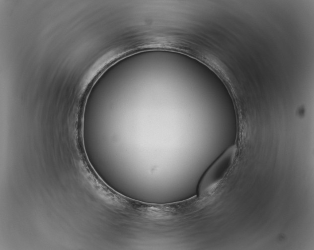 X0000115551138200911271427