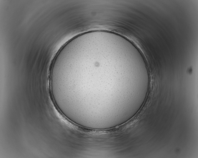 X0000115551143200911271427