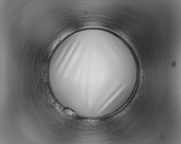 X0000115551145200911271428