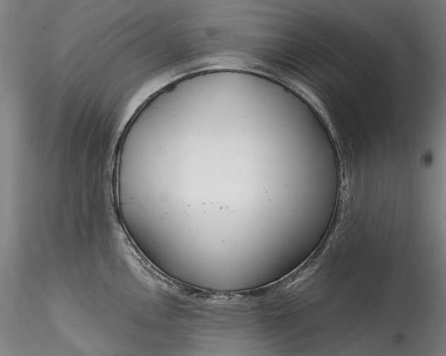 X0000115551146200911271428