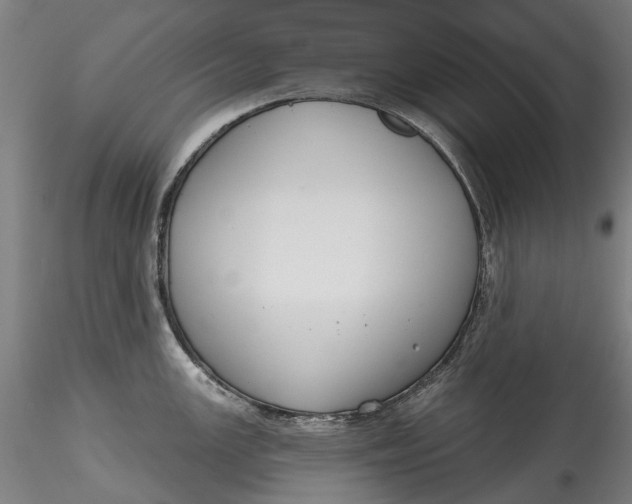 X0000115551147200911271428