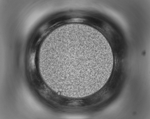 X0000115551150200911271428