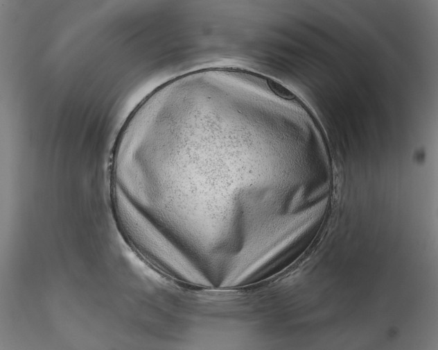 X0000115551151200911271428