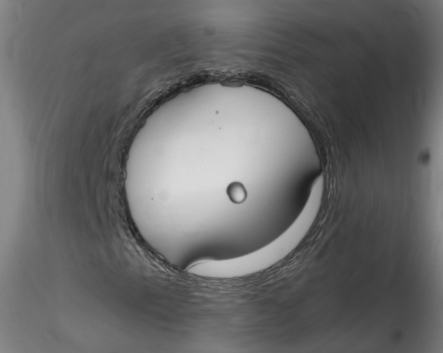 X0000115551153200911271427