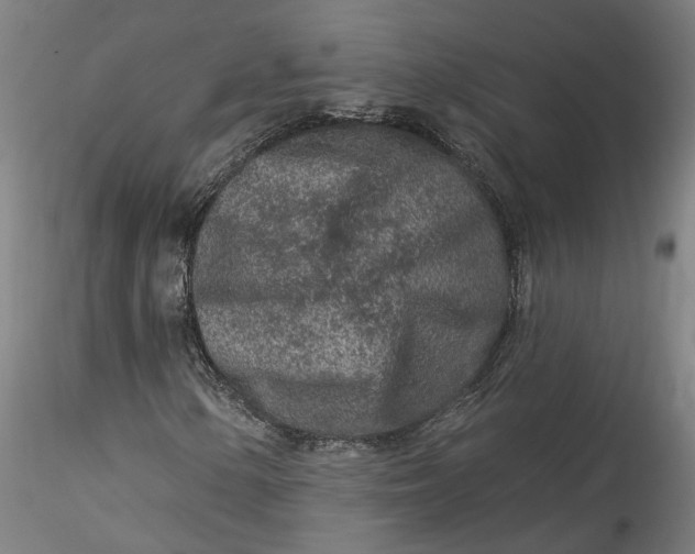 X0000115551154200911271427