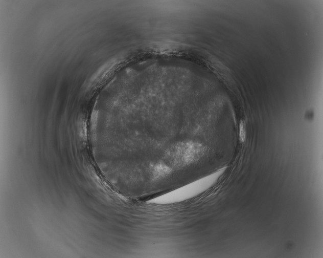 X0000115551155200911271427