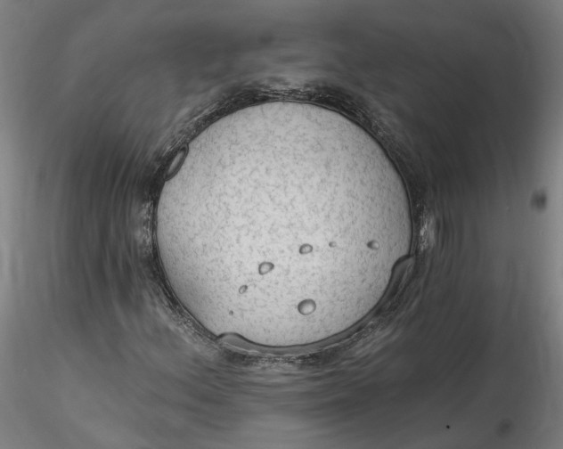 X0000115551156200911271427