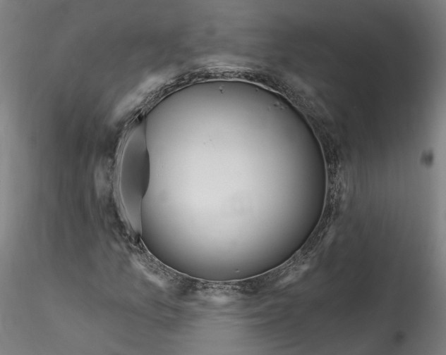 X0000115551157200911271427