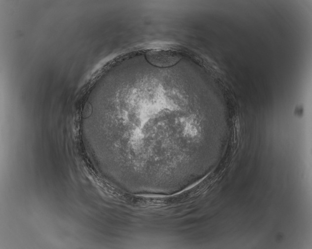 X0000115551158200911271427