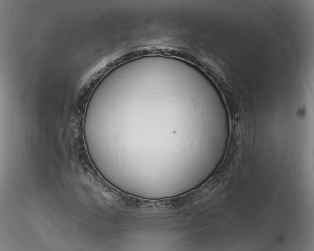 X0000115551159200911271427