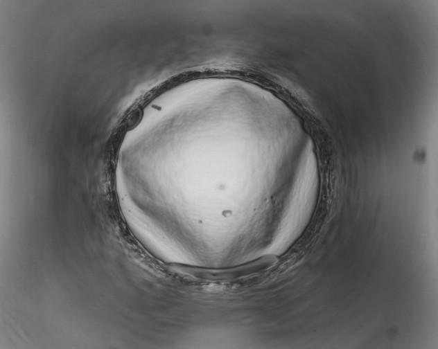 X0000115551160200911271427