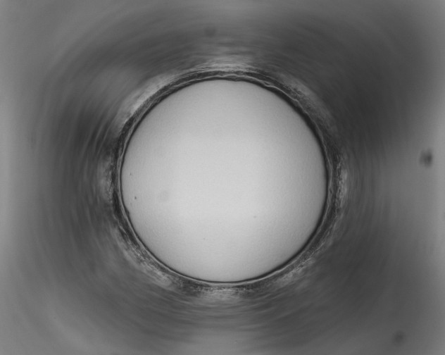 X0000115551162200911271427