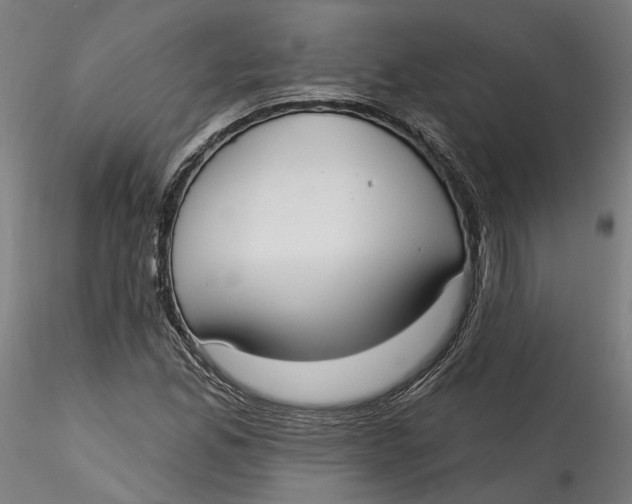 X0000115551165200911271427