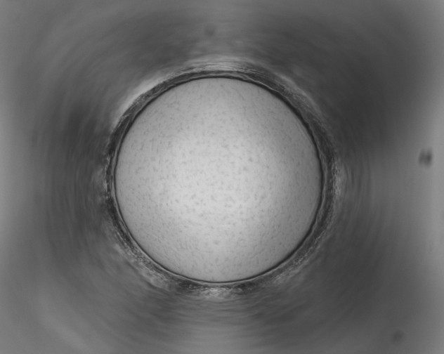 X0000115551166200911271427