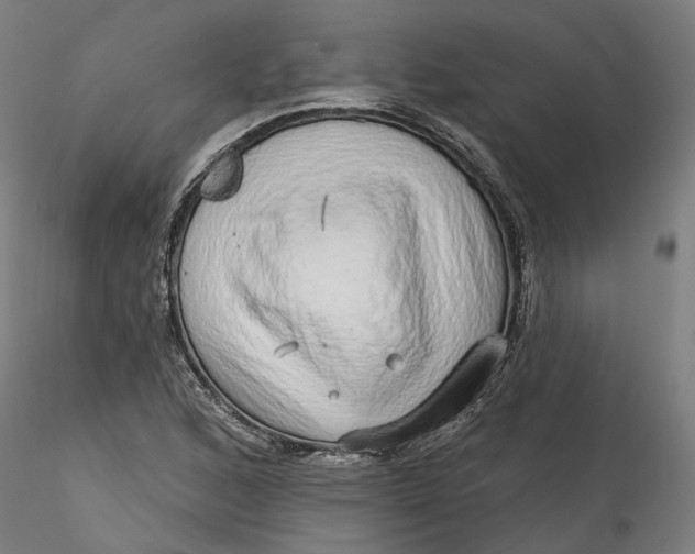 X0000115551168200911271427