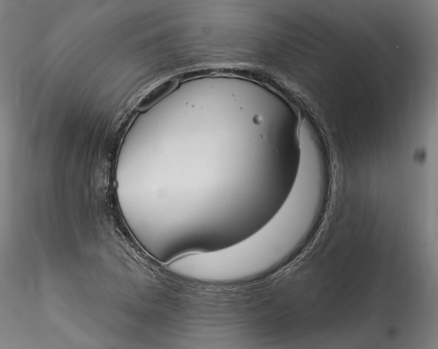 X0000115551169200911271427