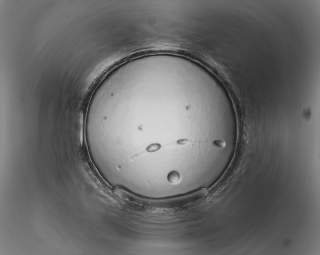 X0000115551171200911271427