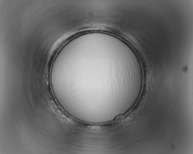 X0000115551172200911271427