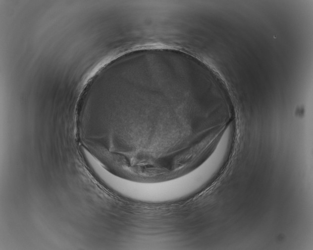 X0000115551173200911271426