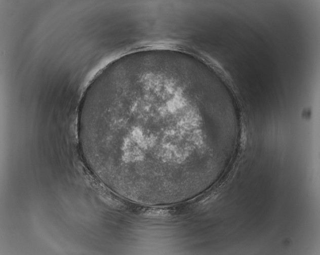 X0000115551174200911271426