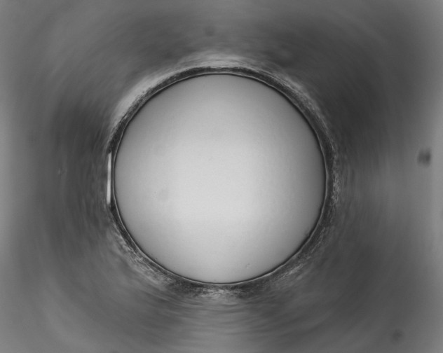 X0000115551175200911271426