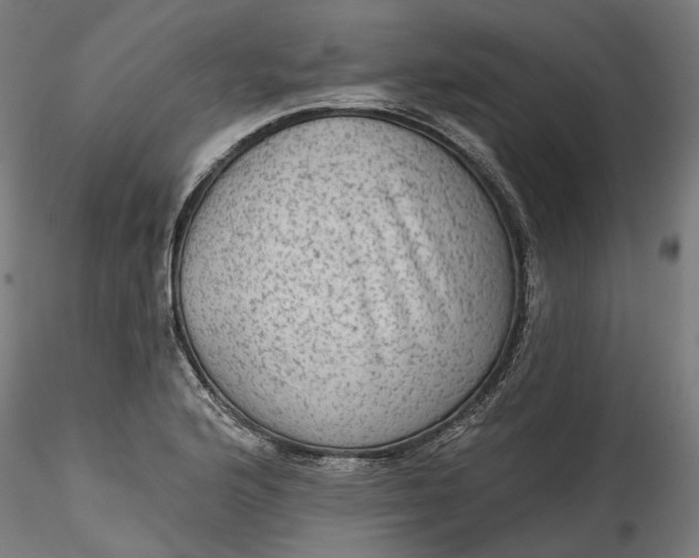 X0000115551176200911271426