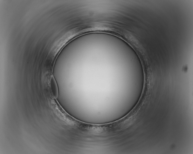 X0000115551177200911271426