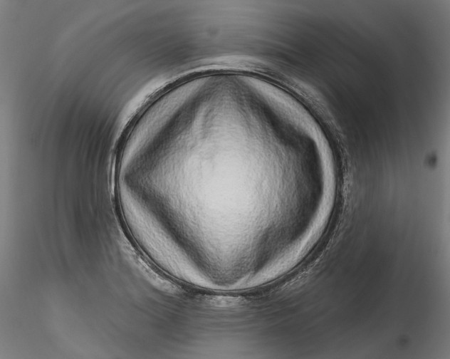 X0000115551180200911271426