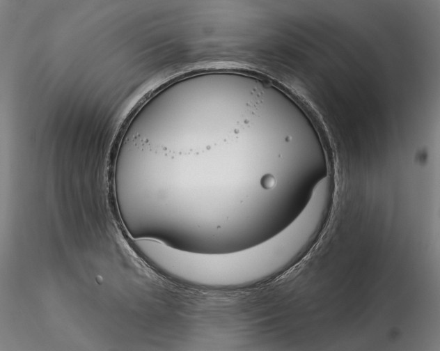 X0000115551181200911271426