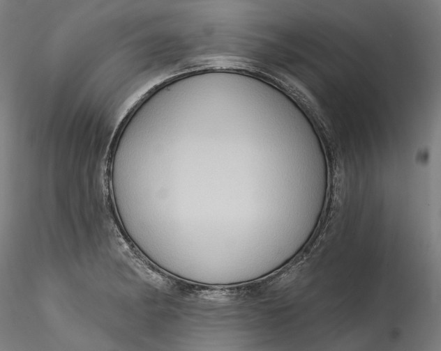 X0000115551182200911271426