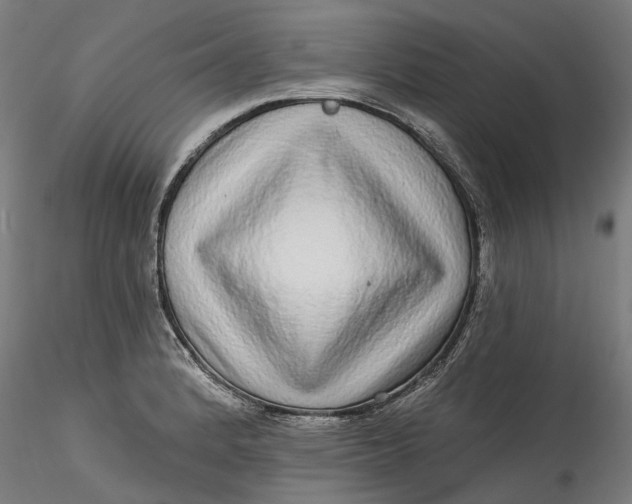 X0000115551184200911271426