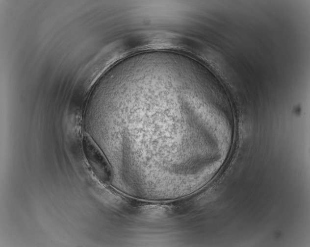 X0000115551185200911271426