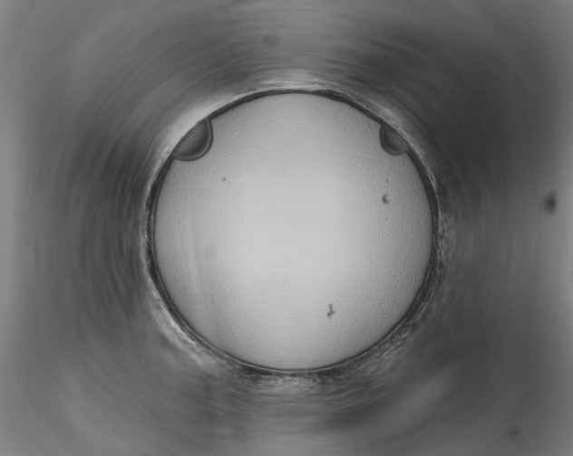 X0000115551187200911271426