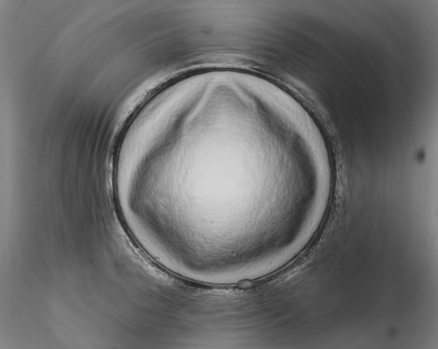 X0000115551188200911271426