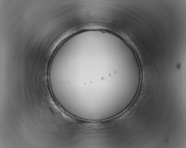 X0000115551189200911271426