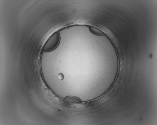 X0000115551190200911271426