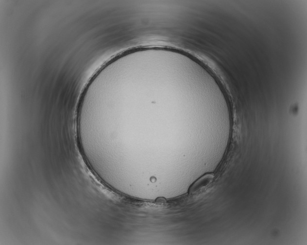 X0000115551191200911271426