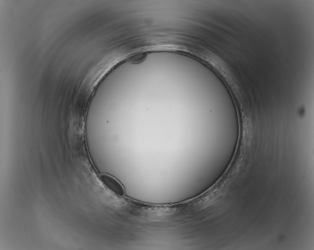 X0000115551193200911271426