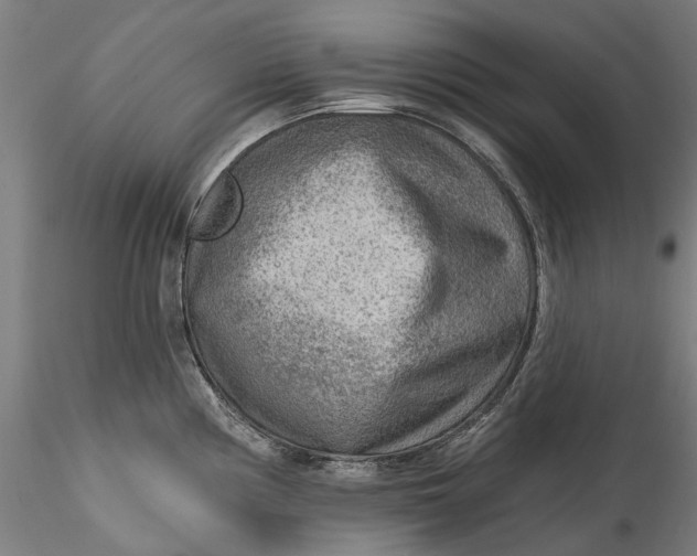 X0000115551194200911271426