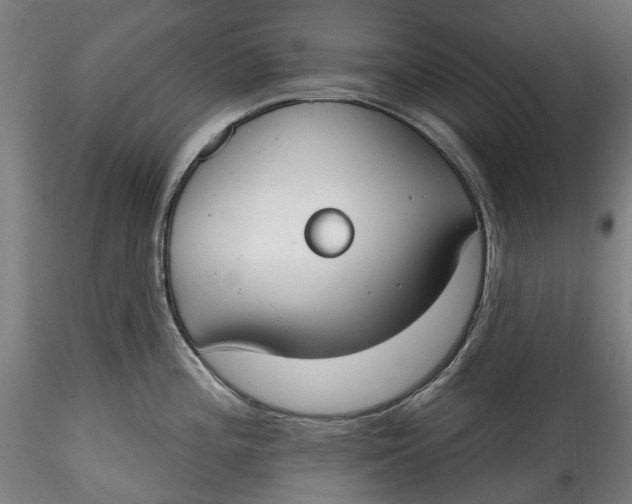 X0000115551196200911271426