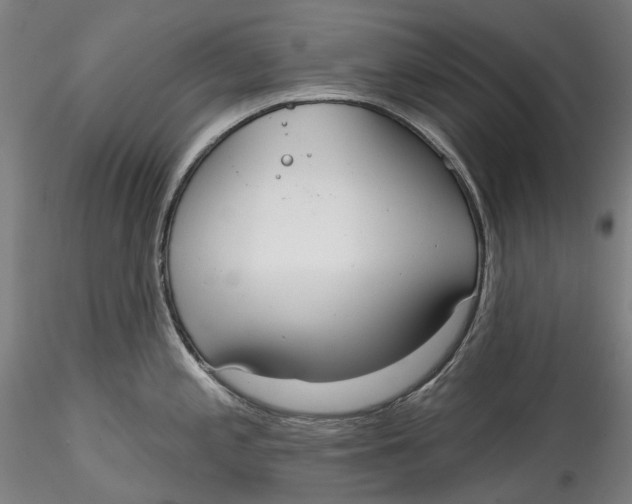 X0000115551197200911271426