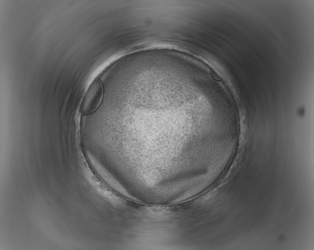 X0000115551198200911271426