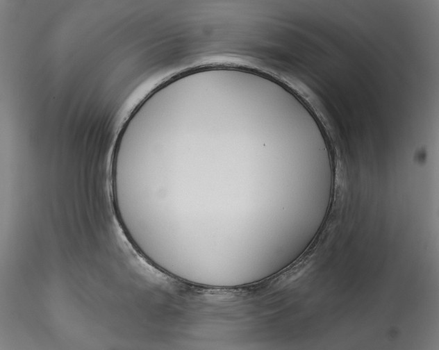 X0000115551199200911271426