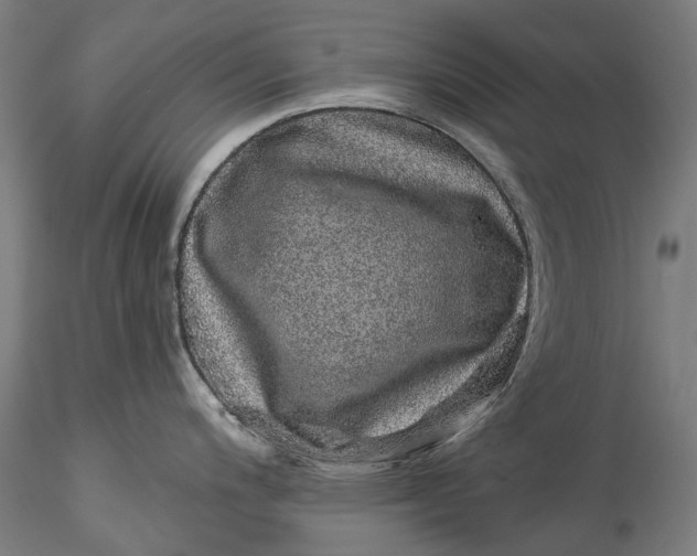 X0000115551200200911271426